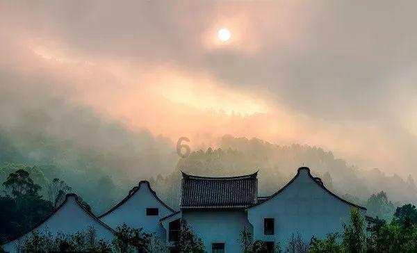 探索问答 - 被蚊虫叮咬了,怎么办?的综合问答平台